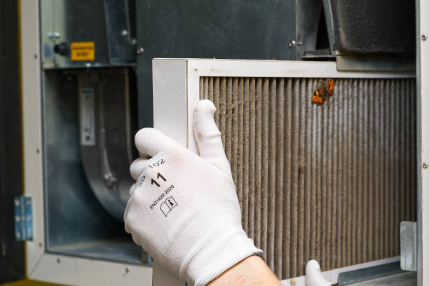 Best Ductwork Cleaning Services  in Berne, IN